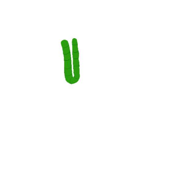 File:Aselha.gif