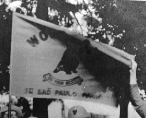 1stpack flag.jpg