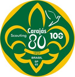 Carajás 80-100