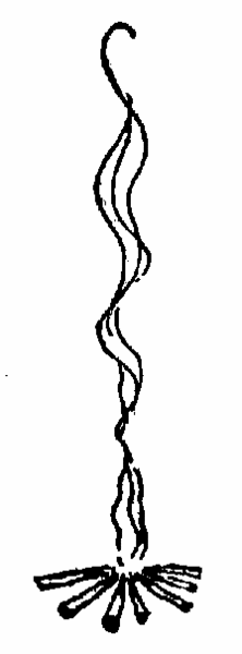File:CFIRE.gif